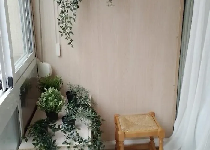 Apartamneto Vicente Blasco Ibanez Torrevieja