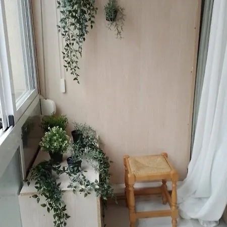 Apartamneto Vicente Blasco Ibanez Торевьиа